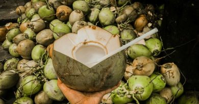 Beat the heat! Here are some amazing health benefits of tender cocunut water for summers