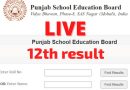12th Result: 12ਵੀਂ ਜਮਾਤ ਦੇ ਵਿਦਿਆਰਥੀਆਂ ਲਈ ਵੱਡੀ ਖਬਰ; ਪੰਜਾਬ ਸਕੂਲ ਸਿੱਖਿਆ ਬੋਰਡ ਕੱਲ੍ਹ ਐਲਾਨੇਗਾ ਨਤੀਜਾ, ਇੰਝ ਆਨਲਾਈਨ ਚੈੱਕ ਕਰੋ ਨਤੀਜਾ