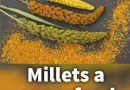 Millet superfood: ਮਿਲੇਟ ਇੱਕ ਸੁਪਰ ਫੂਡ