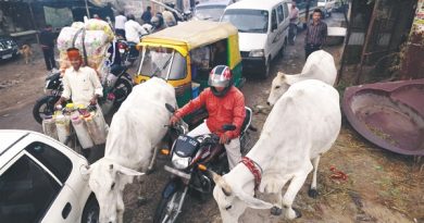 ਸੜਕਾਂ ਤੋਂ ਗਾਇਬ ਹੋਣਗੇ ਅਵਾਰਾ ਪਸ਼ੂ! DC ਨੇ ਲਿਆ ਸਖ਼ਤ ਫ਼ੈਸਲਾ